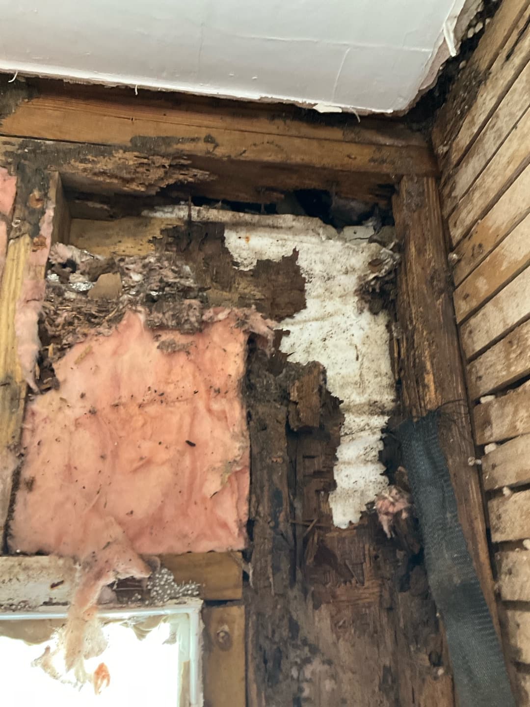 Full-height wood rot at the window jamb, decayed to fibers next to sound replacement lumber (real Karhan project)